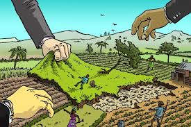 land grabbing